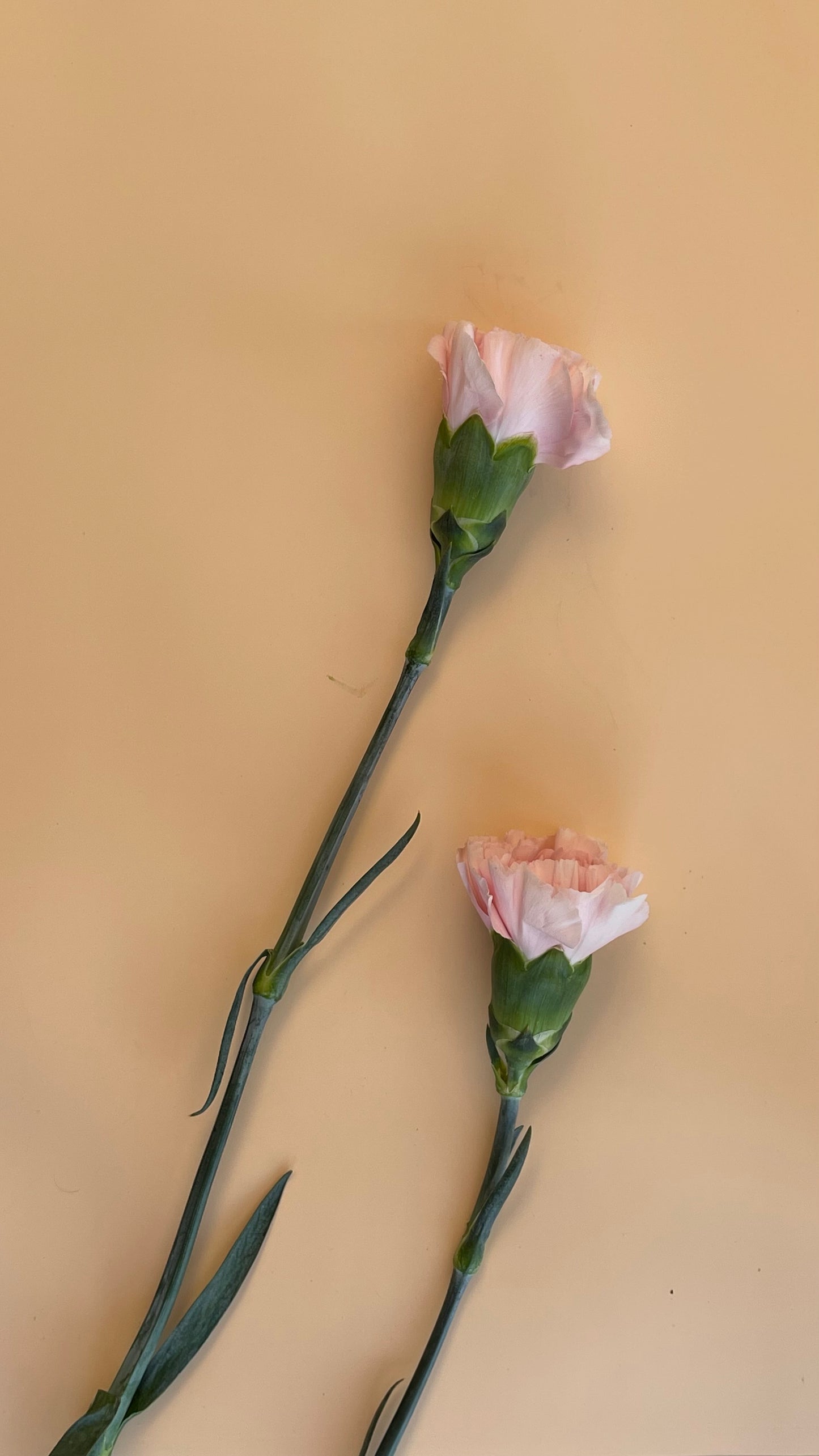 Mystery Small bouquet